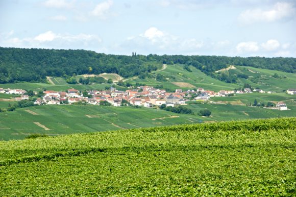 Les Vignes