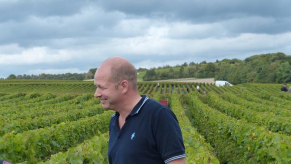 Soutiran - Vigne '3'
